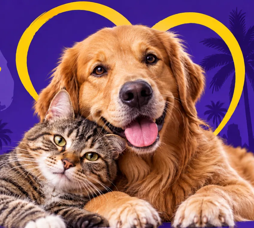 Un perro y un gato juntos, símbolo de nuestra comunidad